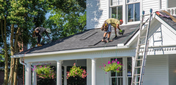 Best Roof Moss and Algae Removal  in Gallipolis, OH